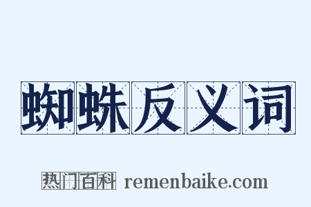 蜘蛛反义词是什么意思的图片
